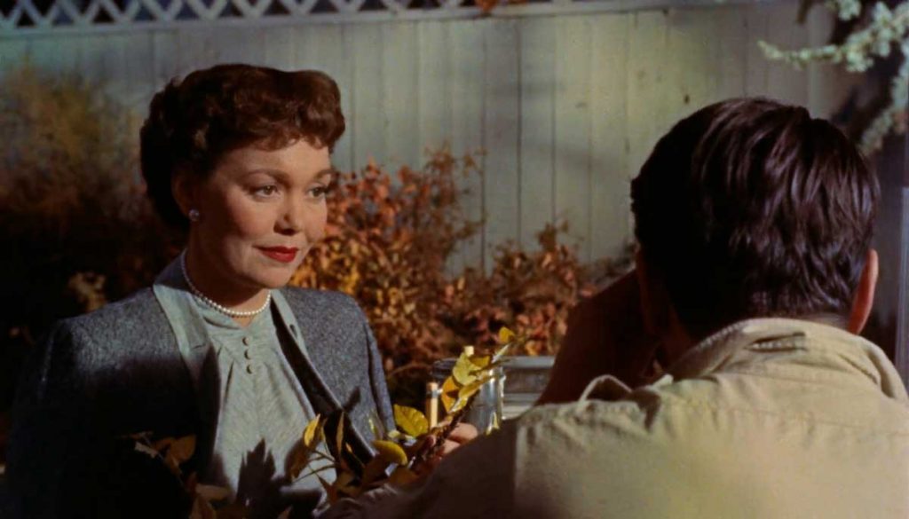 Was der Himmel erlaubt (1955)